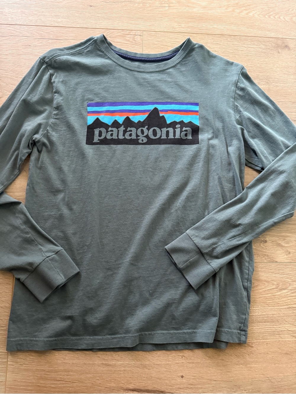 Patagonia Kids Crewneck in Olive Green with Multicolor Logo